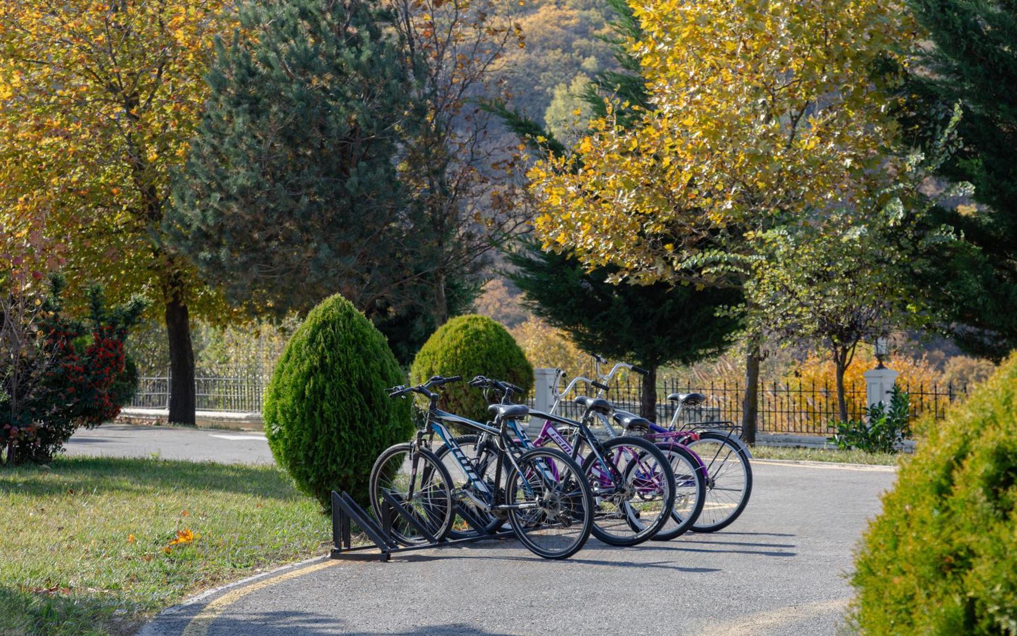 Shamakhi Palace Sharadil Шередил Экстерьер фото Bicycles parked at the entrance of the park